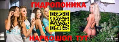 Альфа ПВП Кинель