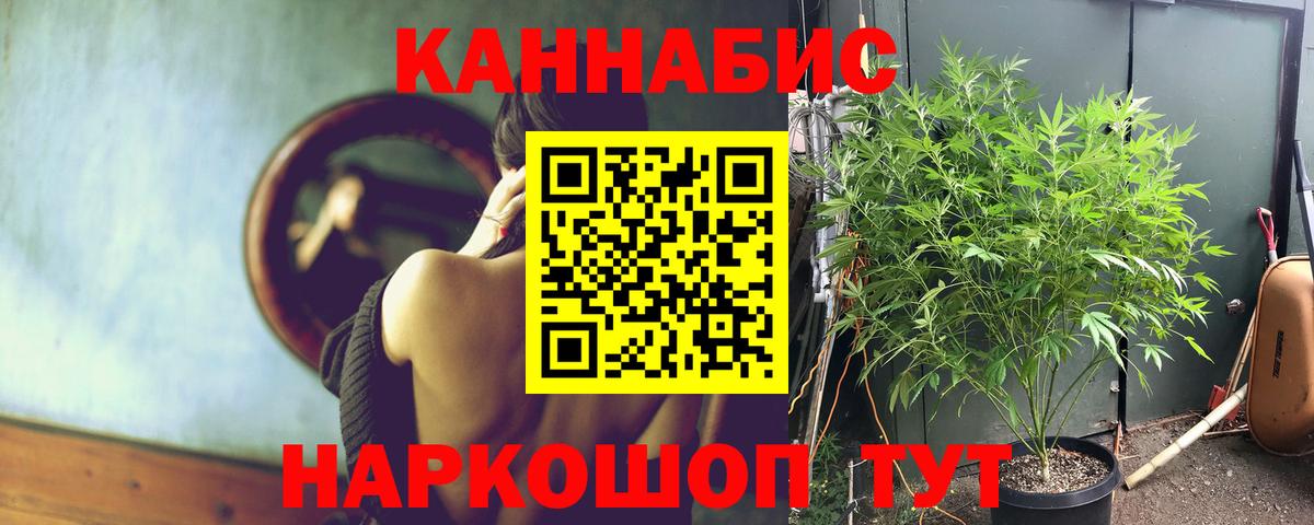 Канабис сатива Кубинка